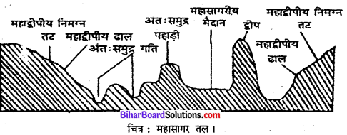 Bihar Board Class 11 Geography Solutions Chapter 13 महासागरीय जल