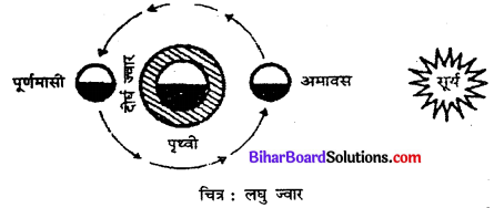 Bihar Board Class 11 Geography Solutions Chapter 14 महासागरीय जल संचलन