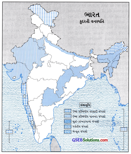 GSEB Solutions Class 6 Social Science Chapter 13 ભારત ભૂપૃષ્ઠ, આબોહવા, વનસ્પતિ અને વન્યજીવ 1